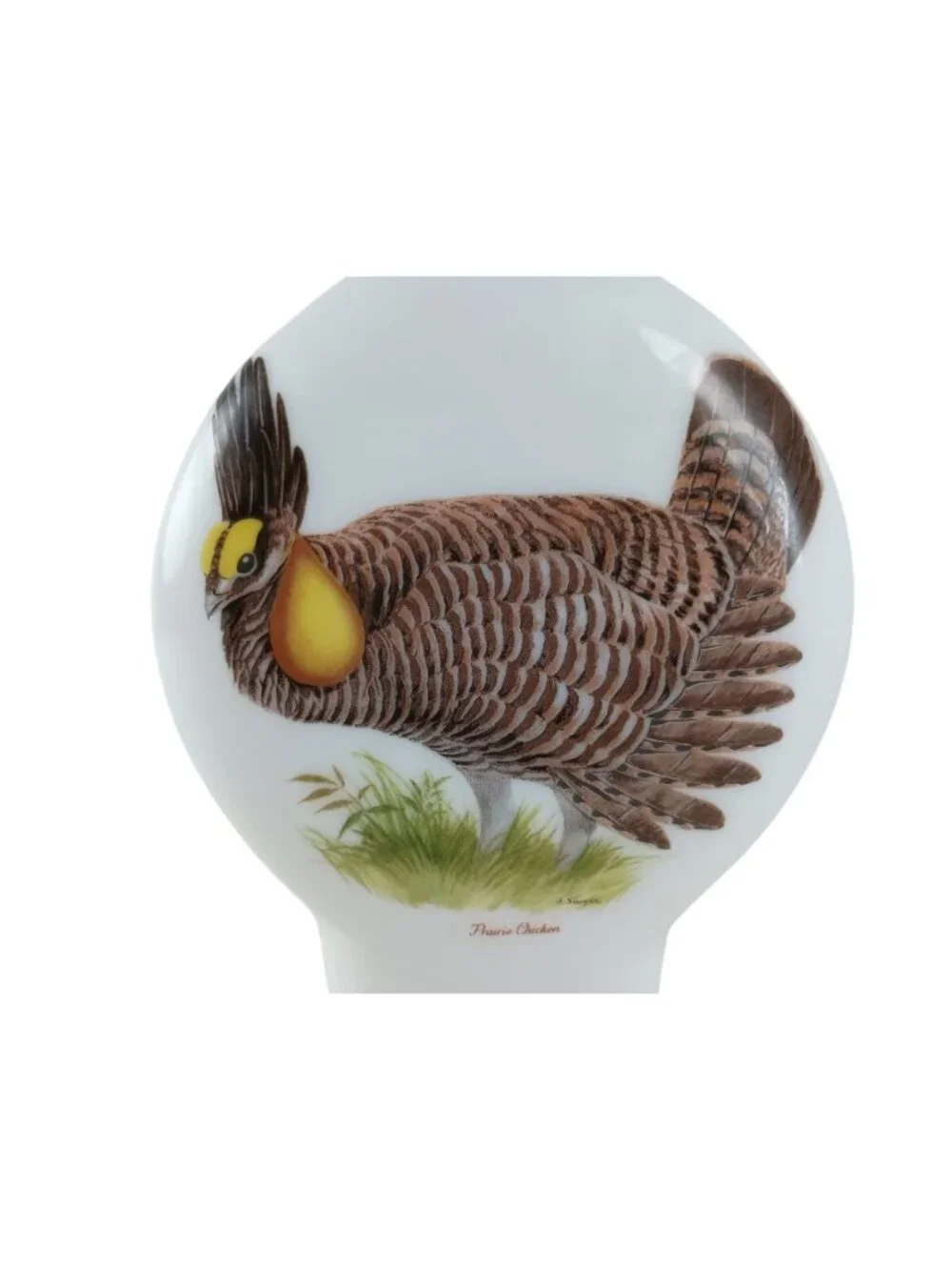 N/A field birds